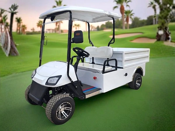 Electric golf cart